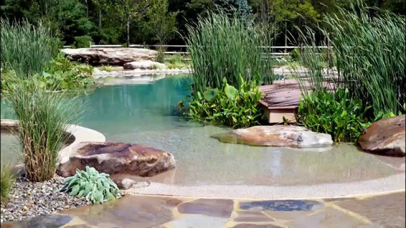 How To Make A Natural Pool