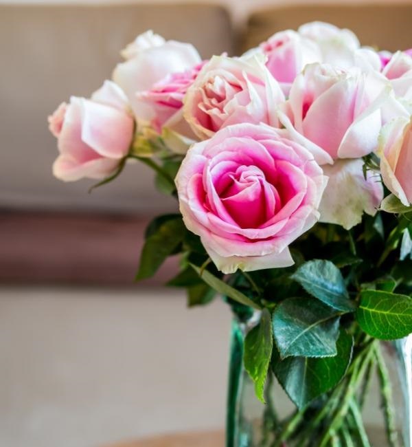how to keep roses alive the longest