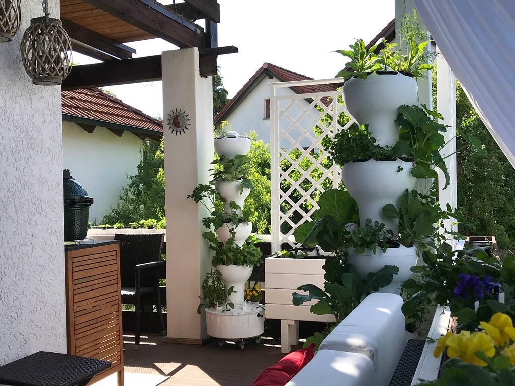 create a hydroponic garden