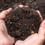 prepare soil for garden