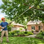 Gardener using an extendable pole saw to safely trim a tall tree branch from the ground in a sunny backyard